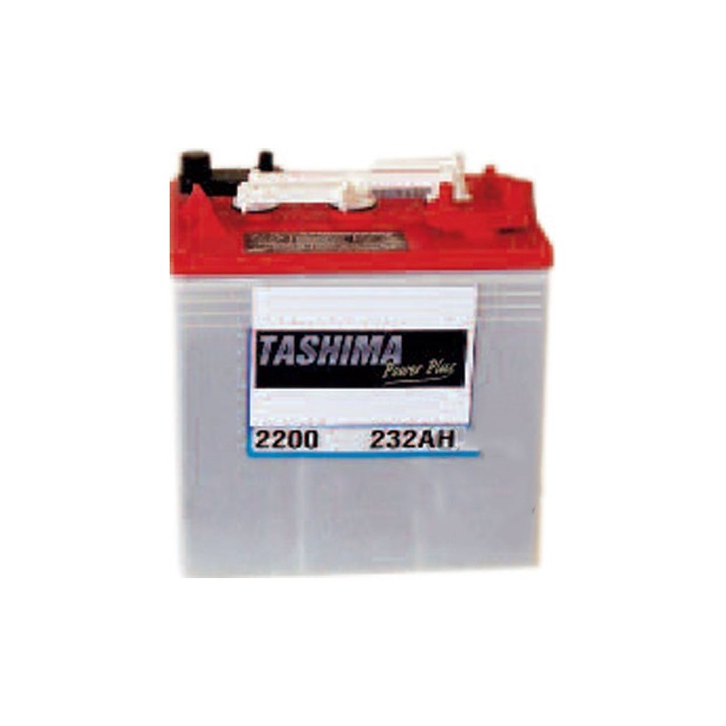 Batterie de traction 6V, capacité 164 AH5H pour véhicules de golf, transporter, utilitaire.