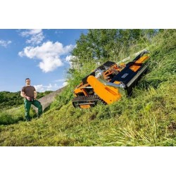 AS Motor AS 1000 Ovis EVO RC