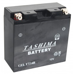 Batterie plomb TASHIMA Pb Ca/Ca, sans entretien, pour tondeuse autoportée  12V, 45A. L: 235, l: 128, H:225mm