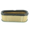 FILTRE A AIR BRIGGS