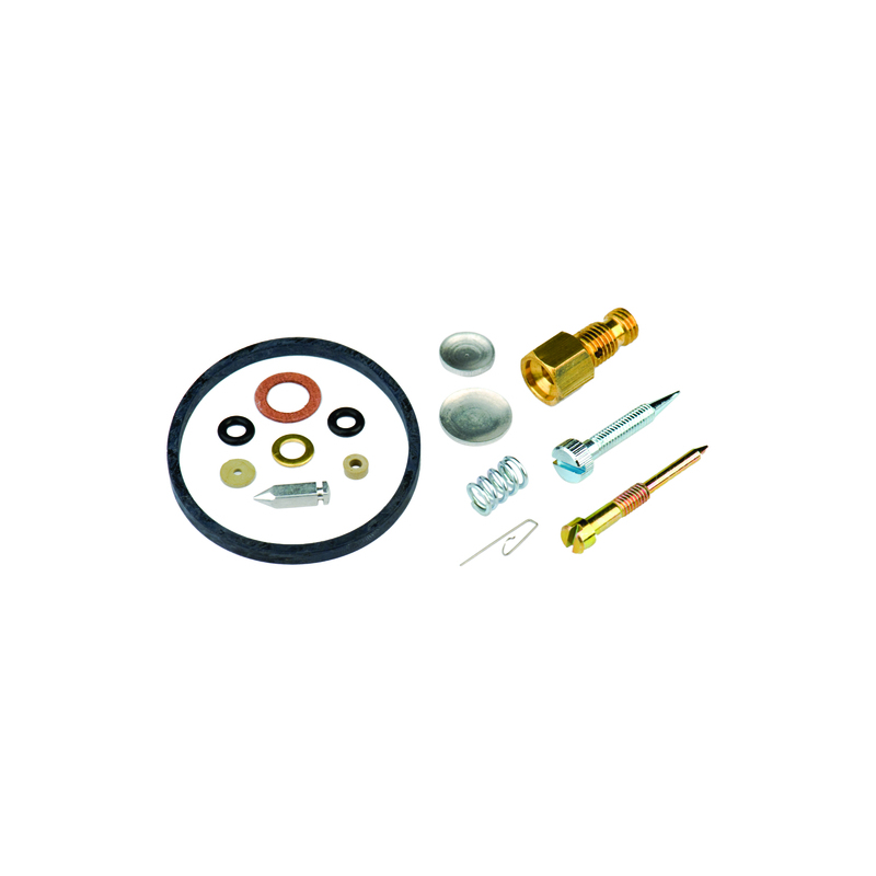 Kit reconstruction carburateur Oregon 49-840 Tecumseh | LG Motoculture