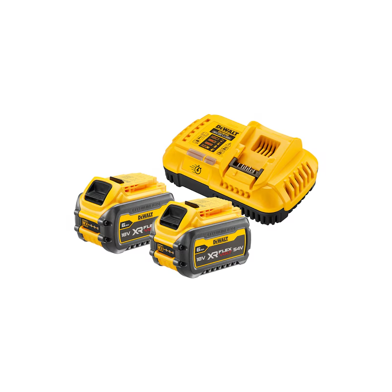 Pack DEWALT DCB118T2-QW 2 batteries FLEXVOLT + chargeur rapide | LG Motoculture