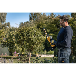 Pack Cisaille à Arbustes DEWALT 18V 20 cm + 2Ah