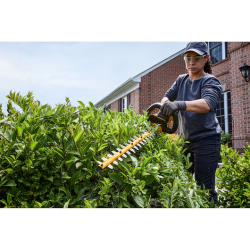 Pack Taille-Haies DEWALT FLEXVOLT 54V 65 cm + Batterie