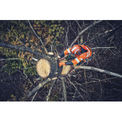 Coin d'abattage Husqvarna Arborist 4" | LG Motoculture