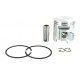 Piston complet de remplacement PARTNER pour notre cylindrée 5709377.