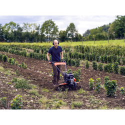 Motobineuse Husqvarna TF 335 | LG Motoculture