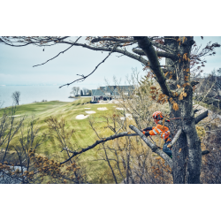 Tronçonneuse Husqvarna T542i XP® G | LG Motoculture