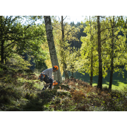 Tronçonneuse Husqvarna 450S | LG Motoculture