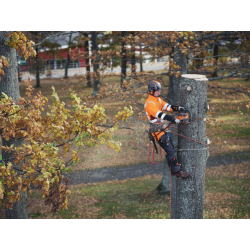 Tronçonneuse Husqvarna 550i XP G | LG Motoculture