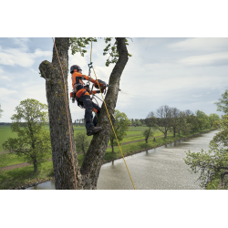 Tronçonneuse Husqvarna T540 XP® Mark III | LG Motoculture