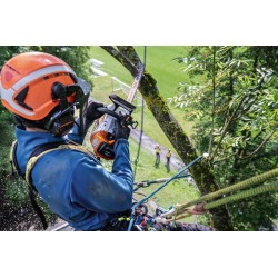 Tronçonneuse d'élagage STIHL MSA 240 TC-O 35 cm