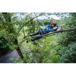 Tronçonneuse d'élagage STIHL MSA 240 TC-O 35 cm