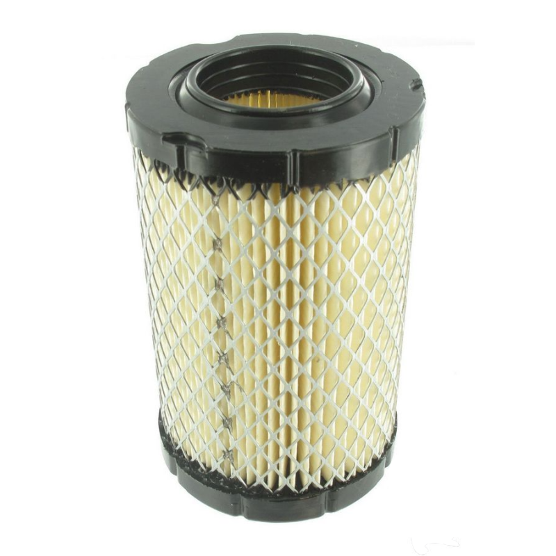 Filtre à air Briggs & Stratton 590825 - 4109773