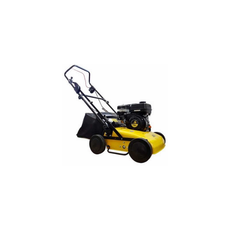 Scarificateur électrique RL301E