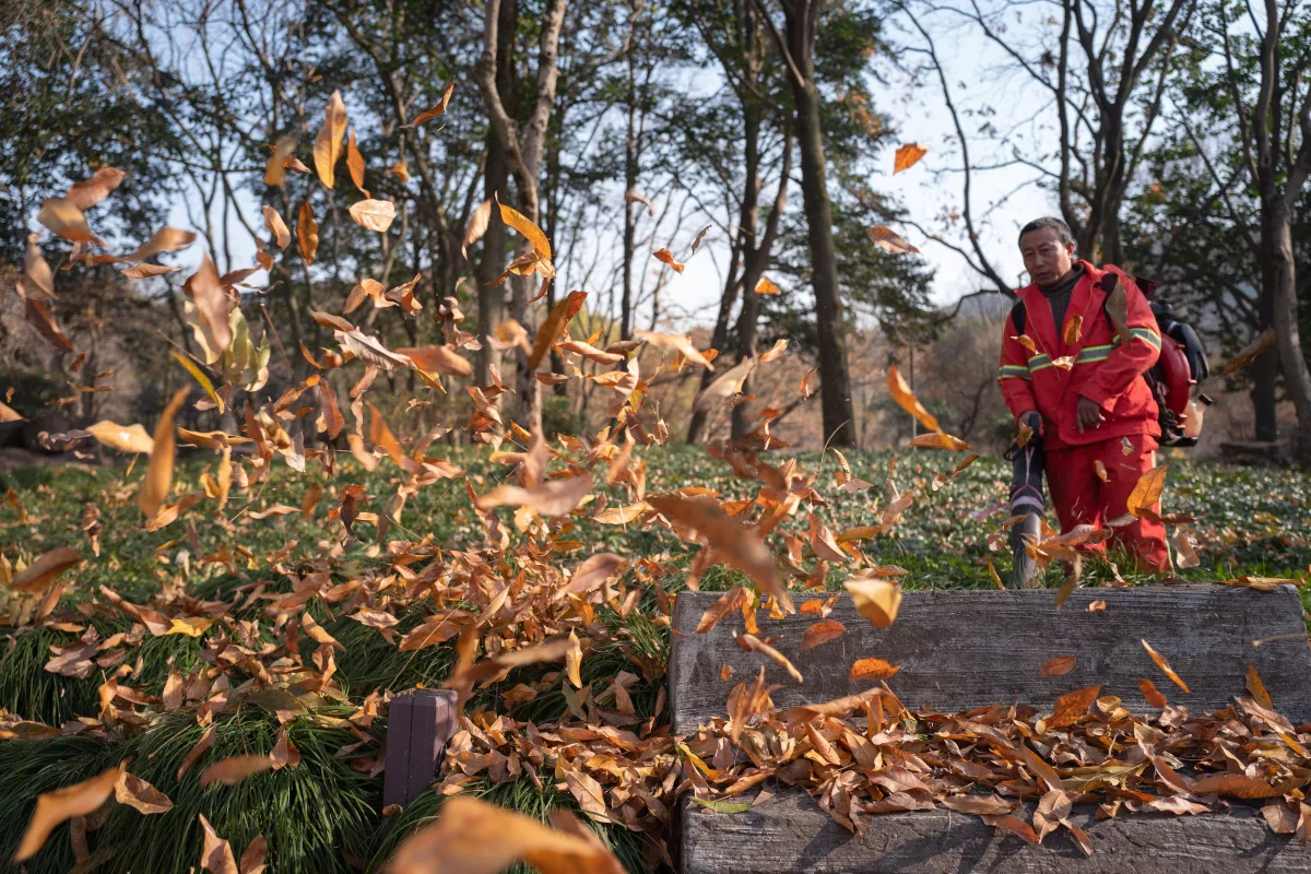 Souffleurs et aspirateurs de feuilles